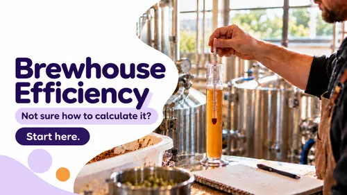 Brewer reading a hydrometer in a wort sample in a brewery to calculate brewhouse efficiency.
