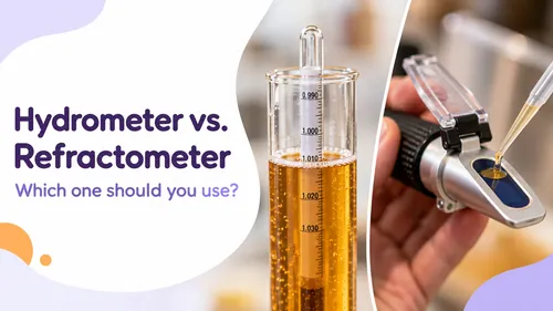 A hydrometer floating in a test cylinder of beer next to a handheld refractometer receiving a drop of wort